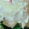 Preview of cross stitch pattern: #815523