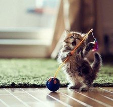 Cross stitch pattern: #815793