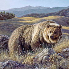 Cross stitch pattern: #815940