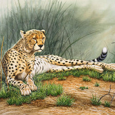 Cross stitch pattern: #816632