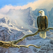 Cross stitch pattern: #816634