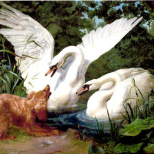 Cross stitch pattern: #816666