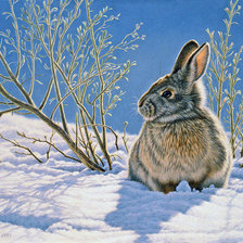 Cross stitch pattern: #818780