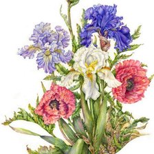 Cross stitch pattern: #819342