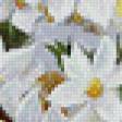 Preview of cross stitch pattern: #824283