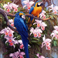 Cross stitch pattern: #825472