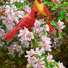 Cross stitch pattern: #826407