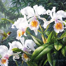 Cross stitch pattern: #826801