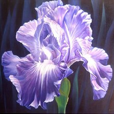 Cross stitch pattern: #828817