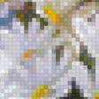 Preview of cross stitch pattern: #828902