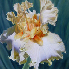 Cross stitch pattern: #829284