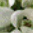 Preview of cross stitch pattern: #830302