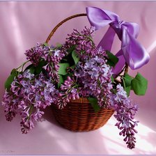 Cross stitch pattern: #830807