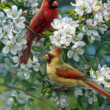 Cross stitch pattern: #830823