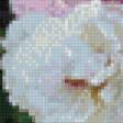 Preview of cross stitch pattern: #831720