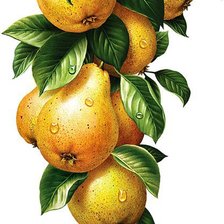 Cross stitch pattern: #832236