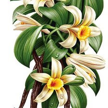 Cross stitch pattern: #832240