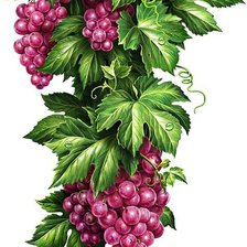 Cross stitch pattern: #832245