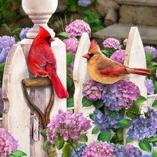 Cross stitch pattern: #833236