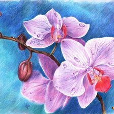 Cross stitch pattern: #833640