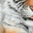 Preview of cross stitch pattern: #834151