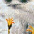 Preview of cross stitch pattern: #834323