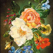 Cross stitch pattern: #834769