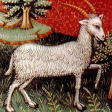 Cross stitch pattern: #835802