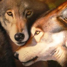 Cross stitch pattern: #836411