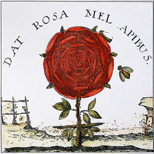 Cross stitch pattern: #836843