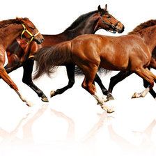 Cross stitch pattern: #836863