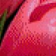 Preview of cross stitch pattern: #836883