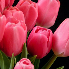 Cross stitch pattern: #836883