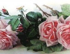 Cross stitch pattern: #837135