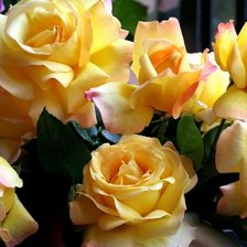 Cross stitch pattern: #837237