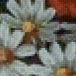 Preview of cross stitch pattern: #837243