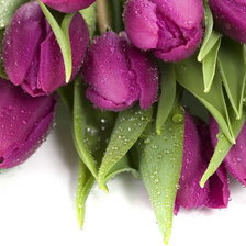 Cross stitch pattern: #837389