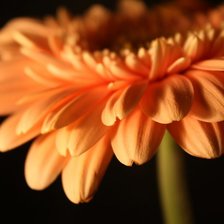 Cross stitch pattern: #837390