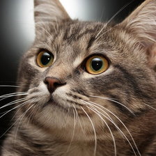 Cross stitch pattern: #837396