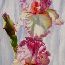 Cross stitch pattern: #841739