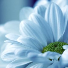 Cross stitch pattern: #843519