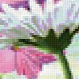 Preview of cross stitch pattern: #843892