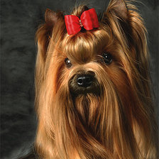 Cross stitch pattern: #844695