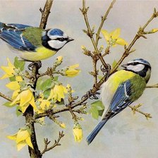 Cross stitch pattern: #844918