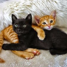 Cross stitch pattern: #845677