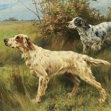 Cross stitch pattern: #846441