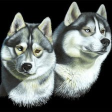 Cross stitch pattern: #846443