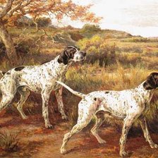 Cross stitch pattern: #846444