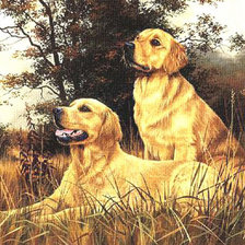 Cross stitch pattern: #846445