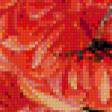 Preview of cross stitch pattern: #848880